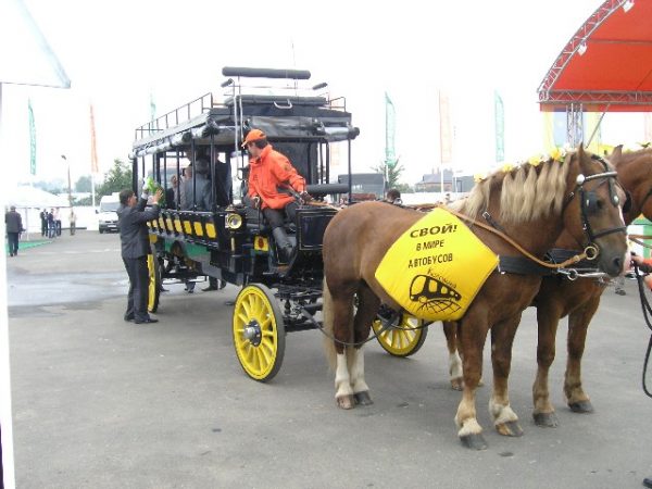 О́мнибус (от лат. Omnibus — «для всех») — вид городского общественного транспорта, характерный для второй половины XIX века. Многоместная (15—20 мест) повозка на конной тяге, предшественник автобуса.